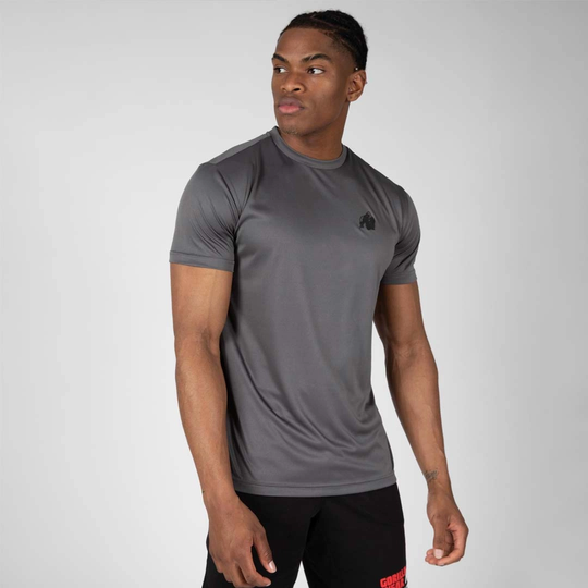 Gorilla Wear Fargo T-shirt Grey Xxl
