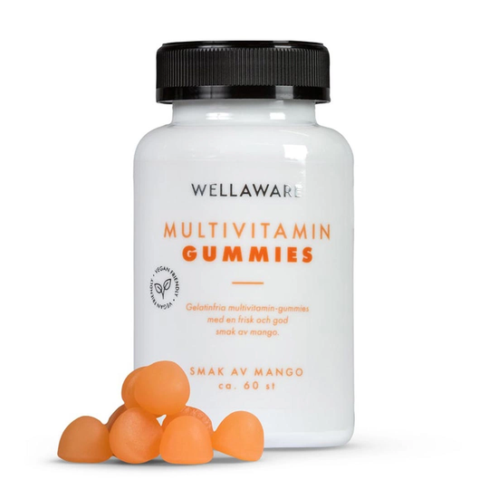 Wellaware Multivitamin Gummies 60 Pcs