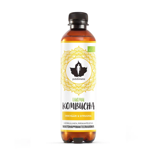 Puhdistamo Luomu Kombucha 370ml Inkivääri & Sitruuna