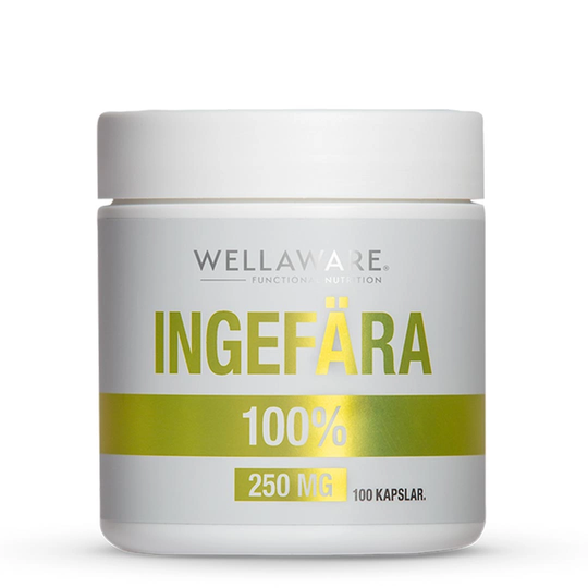 Wellaware Ginger 100 Caps